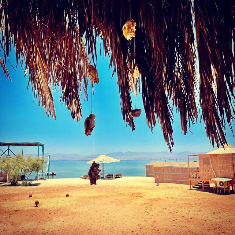 ホテルHalf Moon Camp タバ エクステリア 写真